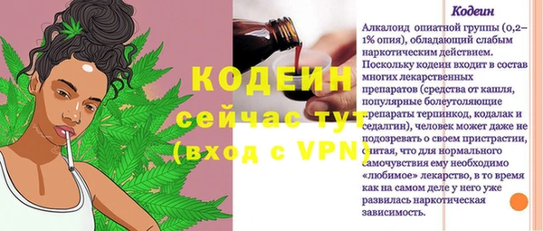 прущие грибы Туринск