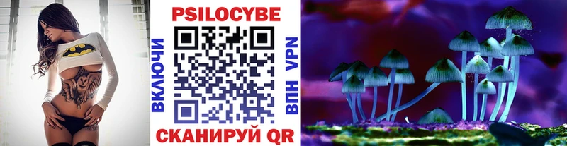 Псилоцибиновые грибы мицелий  Луза 